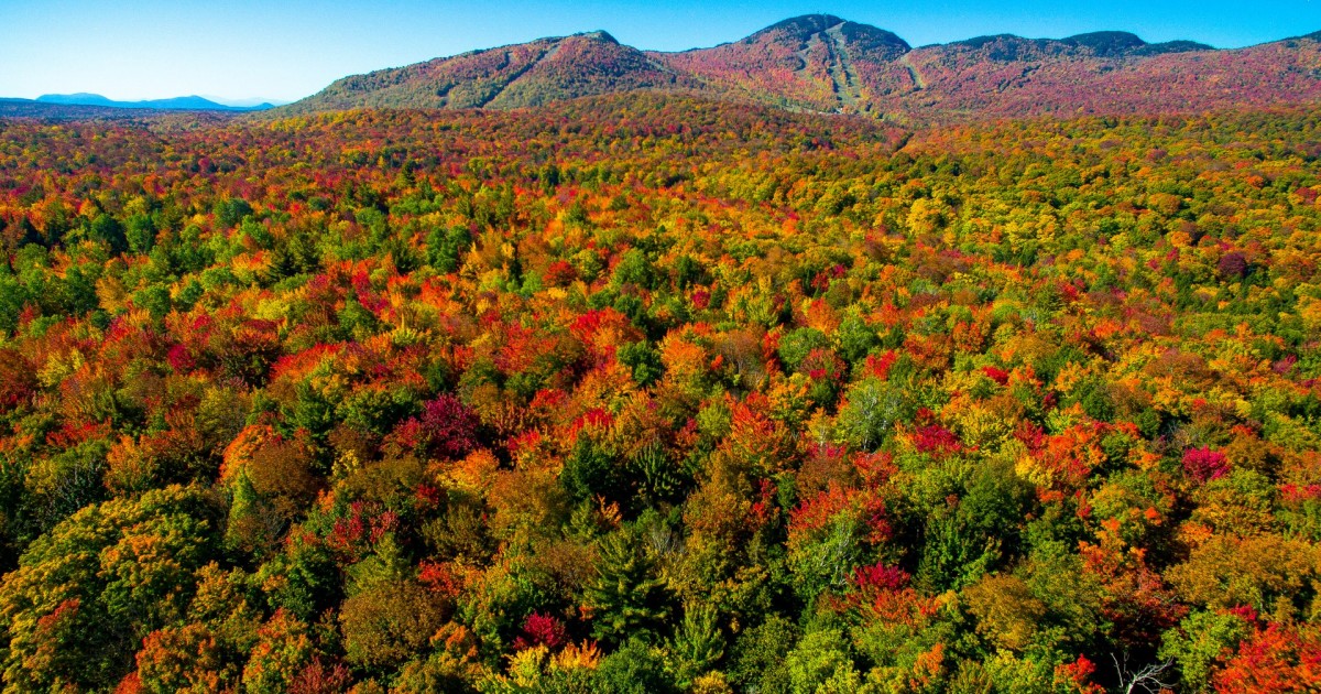 Where to celebrate fall in the Eastern Townships | Eastern Townships ...